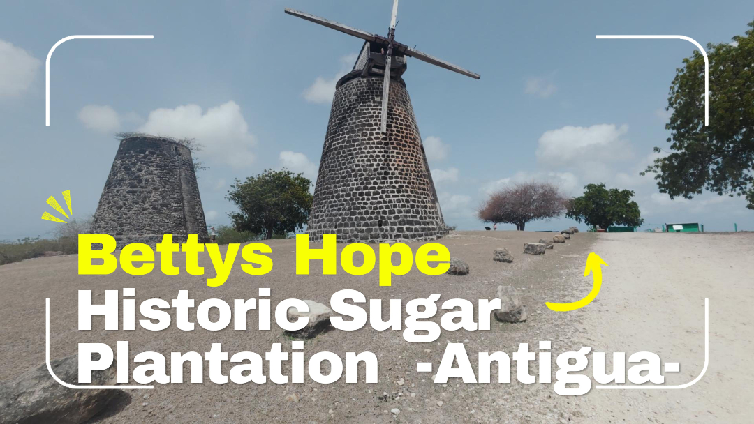 Something different - Video of a recent walk around Bettys Hope in Antigua

https://youtu.be/SrAc04IHBWQ